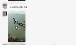 爆料男子溺亡视频,监控视频曝光惊心动魄一幕